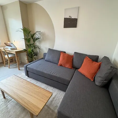 L'alpin, Coeur De Apartment Grenoble